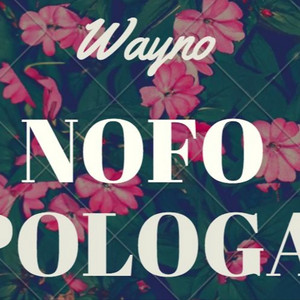 Wayno - Nofo Pologa