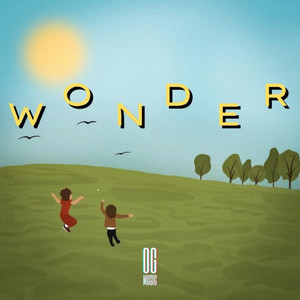 Portada de Wonder