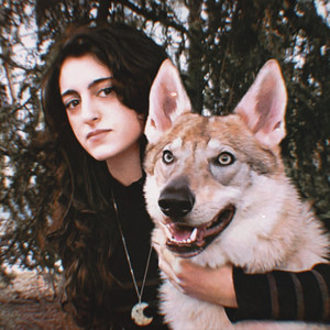 The Last Wolf by Starlight