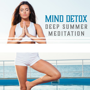Mind Detox – Deep Summer Meditation: Energy Flow, Peaceful Retreat, Karmic Influence, Calm Dream, Personal Growth, Healing Vibes album
