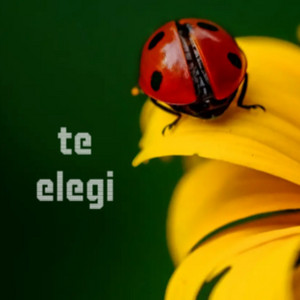 te elegi by fenix04