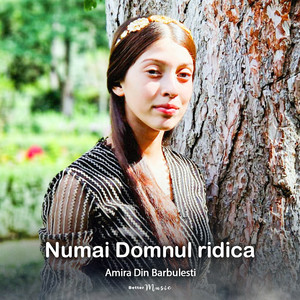 Amira din Barbulesti - Numai Domnul ridica
