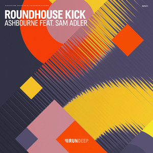 Roundhouse Kick by Ashbourne, Sam Adler