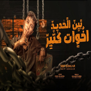 Sief Sokar - بين الحديد اخوات كتير