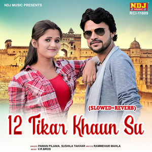 Pawan Pilania & Sushila Takhar - 12 Tikar Khaun Su Slowed + Reverb