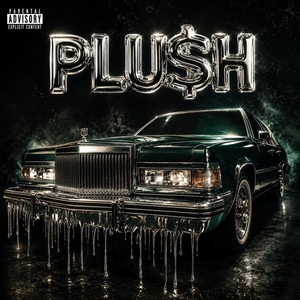 Heart On My Sleeve by PLU$h