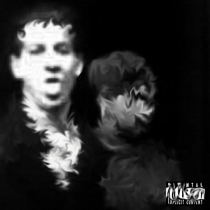 Portada de Risk