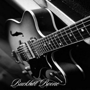If You Aimed Shoot by BUCKSHOT BOONE