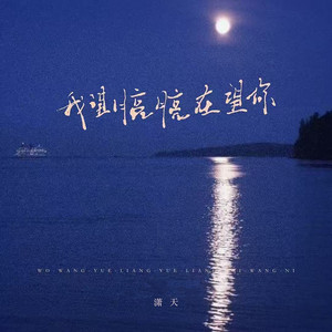我望着月亮月亮望着你 - DJ长梦版 by 潇天