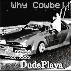 Cover art: Why Cowbell - Slowed