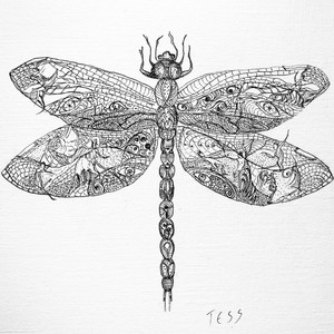 Dragonfly on a Hot Day