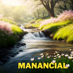 Vozes da Natureza - Birds singing by the creek