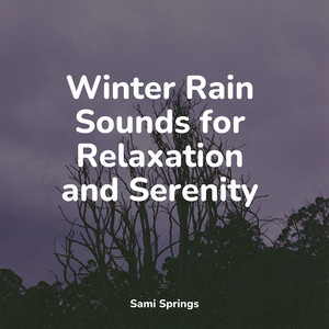 Winter Rain Sounds for Relaxation and Serenity album