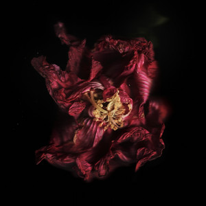 Demon-Haunted World by Spirituals