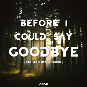 Before I Could Say Goodbye - Tim W41k3r's Version by Tim W41k3r