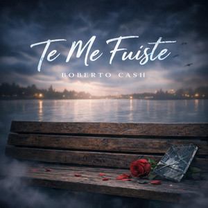 Te Me Fuiste by Boberto Cash