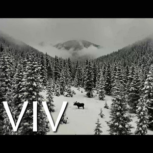 I Wish I Could Say by Vermouth IV