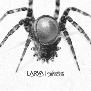 La Rueda De La Vida by Larva