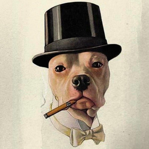 wholesale marlboro cigarettes Buy Bulk Marlboro King Box Online