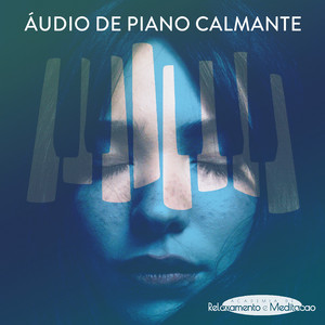 Accommodation The by Academia de Relaxamento e Meditacao Album Cover