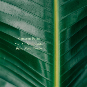 Cameron Payne - You Are So Beautiful - Bossa Nova Version