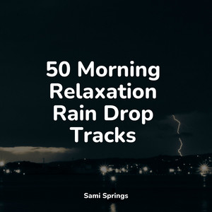 50 Morning Relaxation Rain Drop Tracks album
