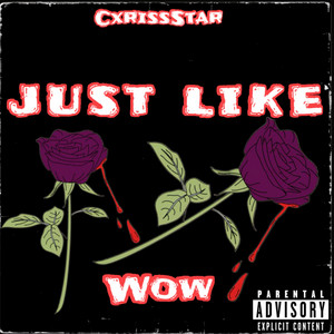 Just Like Wow by CxrissStar