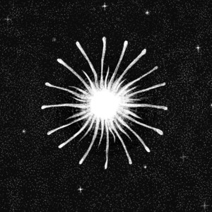 album cover: The Spirit of Gravity