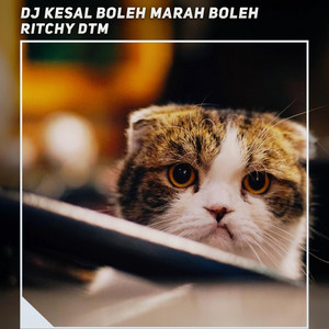Dj Here X Bojo Loro Sound Viral by Ritchy DTM
