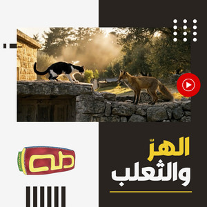 الهر والثعلب by قناة طه للأطفال