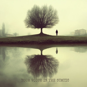 Your Voice in the Static by The Otherside