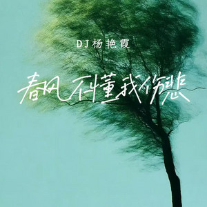 可惜春风不懂我伤悲（DJ版） by DJ杨艳霞