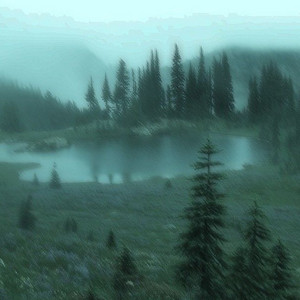 DJ Mlg & U-ZAI - CAN'T CONTROL MY HEART