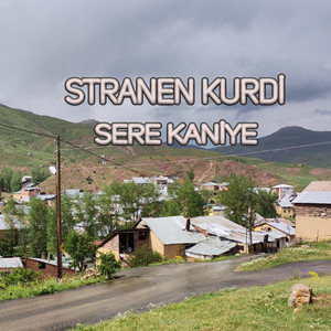 Stranen Kurdi - Sere Kaniye