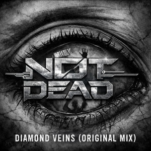 Diamond Veins (original mix) by Not Dead