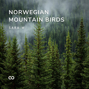 Norwegian Mountain Birds I by Sara W