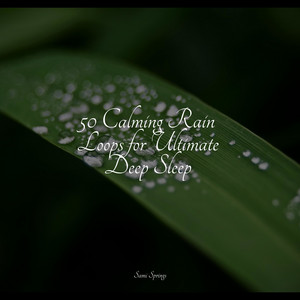50 Calming Rain Loops for Ultimate Deep Sleep album
