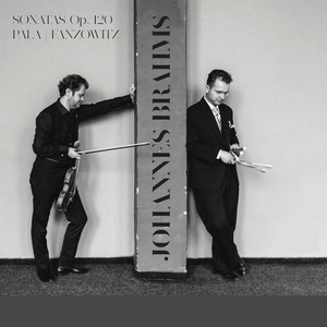 Johannes Brahms: Sonatas OP. 120 album