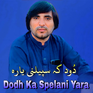 Faryadi Kakar - Dodh Ka Spelani Yara