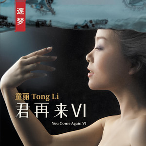 童丽Tong Li | Spotify