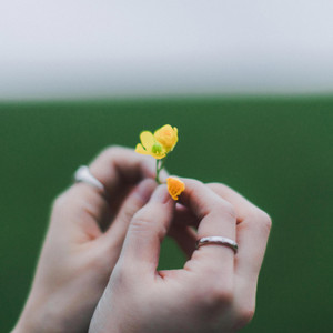Song of Songs 2:8-13 by Gracen Spero