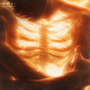 Mohem Ni by Danellow, Nimaa Nourani
