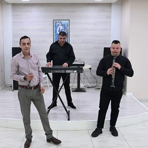 Trendafili bardhe,Zogu i thellezes