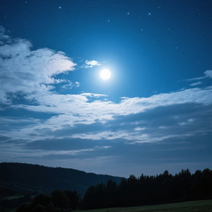 Ednei Rodrigues Da Silva - see you left mee