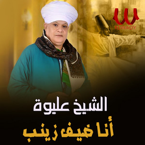 انا ضيف زينب