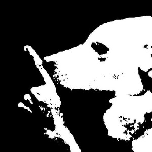 Besorgs Mirr (Speed Up) by KILL0