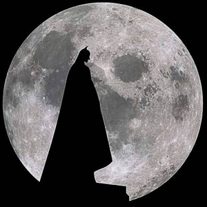 Portada de Bruce Wayne