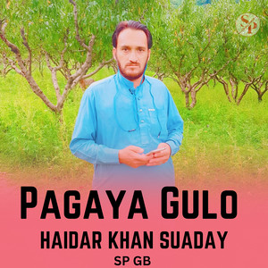 Sp Gb - Pagaya Gulo (feat. Haidar Khan Suaday)