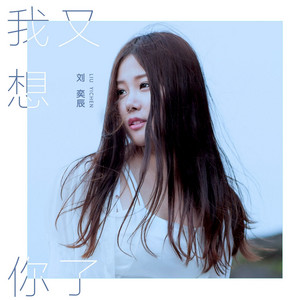 刘奕辰 - 我又想你了 (DJ Wave版)