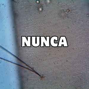 nunca by Manuel Fucil